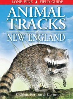 Bertrand.pt - Animal Tracks Of New England