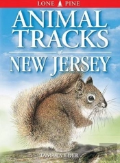Animal Tracks Of New Jersey