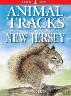 Bertrand.pt - Animal Tracks Of New Jersey