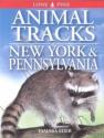 Animal Tracks Of New York And Pennsylvania