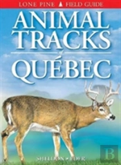 Animal Tracks Of Quebec