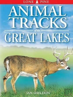 Bertrand.pt - Animal Tracks Of The Great Lakes