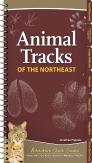 Animal Tracks Of The Northeast