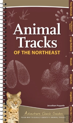 Bertrand.pt - Animal Tracks Of The Northeast