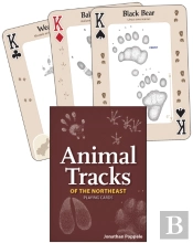 Animal Tracks Of The Northeast Playing Cards