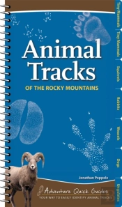 Animal Tracks Of The Rocky Mountains