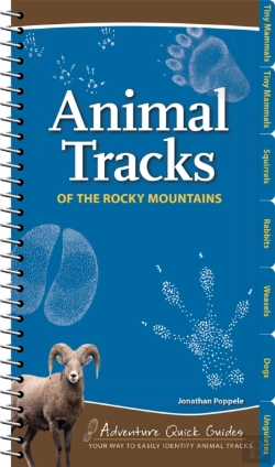 Bertrand.pt - Animal Tracks Of The Rocky Mountains
