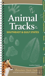 Animal Tracks Of The Southeast & Gulf States