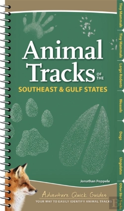 Bertrand.pt - Animal Tracks Of The Southeast & Gulf States