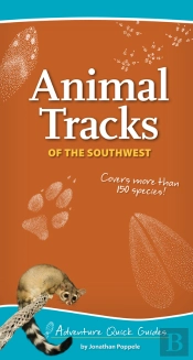Animal Tracks Of The Southwest