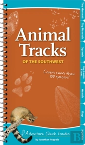 Animal Tracks Of The Southwest