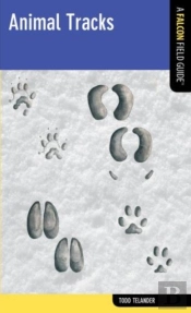 Animal Tracks
