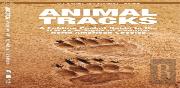 Animal Tracks