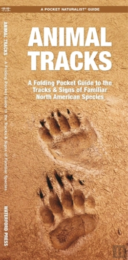 Bertrand.pt - Animal Tracks