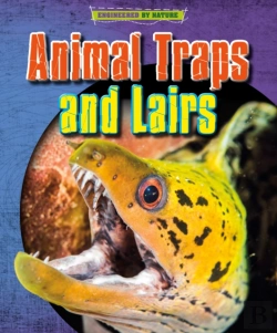 Bertrand.pt - Animal Traps And Lairs