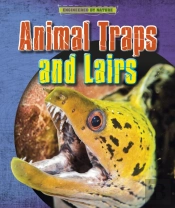 Animal Traps And Lairs