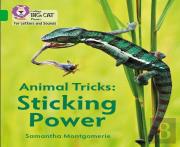 Animal Tricks: Sticking Power