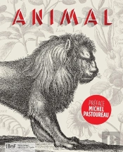 Animal