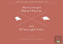 Animal Welfare At Slaughter