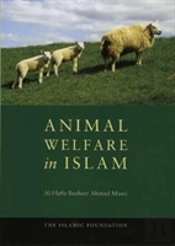 Animal Welfare In Islam