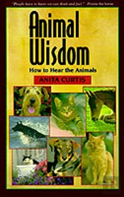 Animal Wisdom
