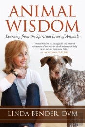 Animal Wisdom