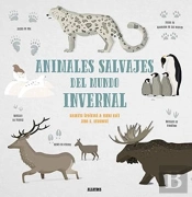 Animales Salvajes Mundo Invernal