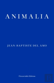 Animalia