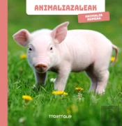 Animalia Kumeak