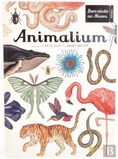 Animalium