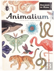 Animalium