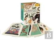 Animalium Postcards