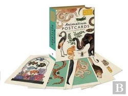 Bertrand.pt - Animalium Postcards