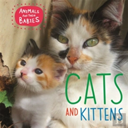 Bertrand.pt - Animals And Their Babies: Cats & Kittens
