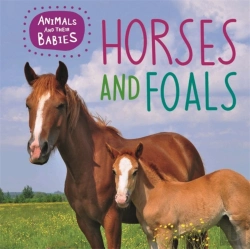Bertrand.pt - Animals And Their Babies: Horses & Foals