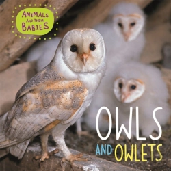 Bertrand.pt - Animals And Their Babies: Owls & Owlets