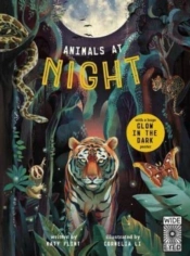 Animals At Night