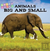 Animals Big And Little