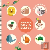 Animals Big & Small