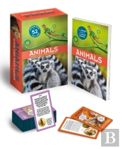 Animals: Book And Fact Cards