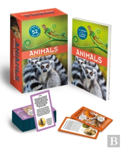 Bertrand.pt - Animals: Book And Fact Cards