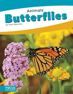 Bertrand.pt - Animals: Butterflies