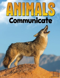 Bertrand.pt - Animals Communicate