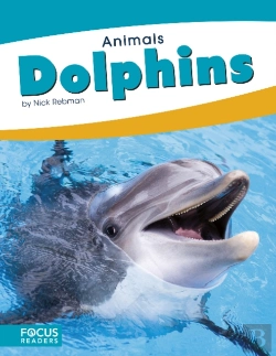 Bertrand.pt - Animals: Dolphins