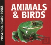 Animals & Birds