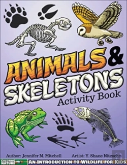 Bertrand.pt - Animals & Skeletons Activity Book