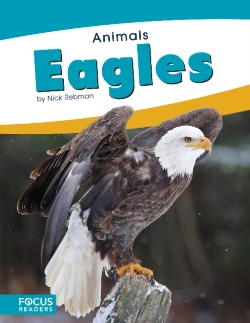 Bertrand.pt - Animals: Eagles