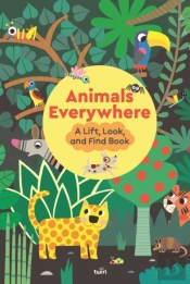 Animals Everywhere: A Lift, Look, And Find Book