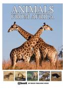 Animals From Africa