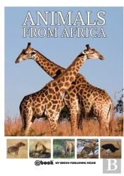 Animals From Africa